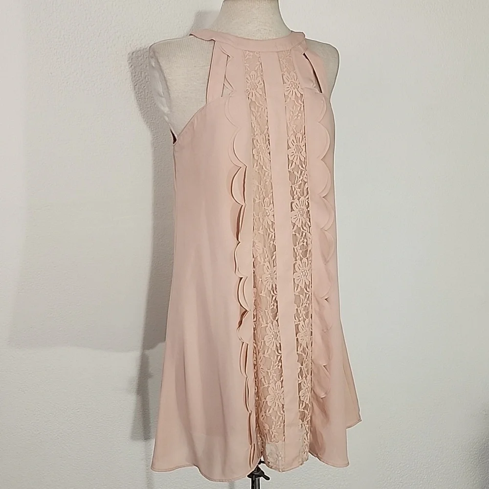 Altered States Dress Lace Panel with Scalloped Ruffle Trapeze Style Pink Size M - Picture 3 of 14